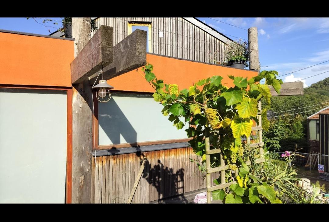 Gee Is Sharing Her Home Liège Exterior foto