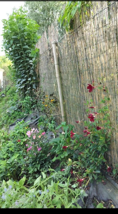 Gee Is Sharing Her Home Liège Exterior foto