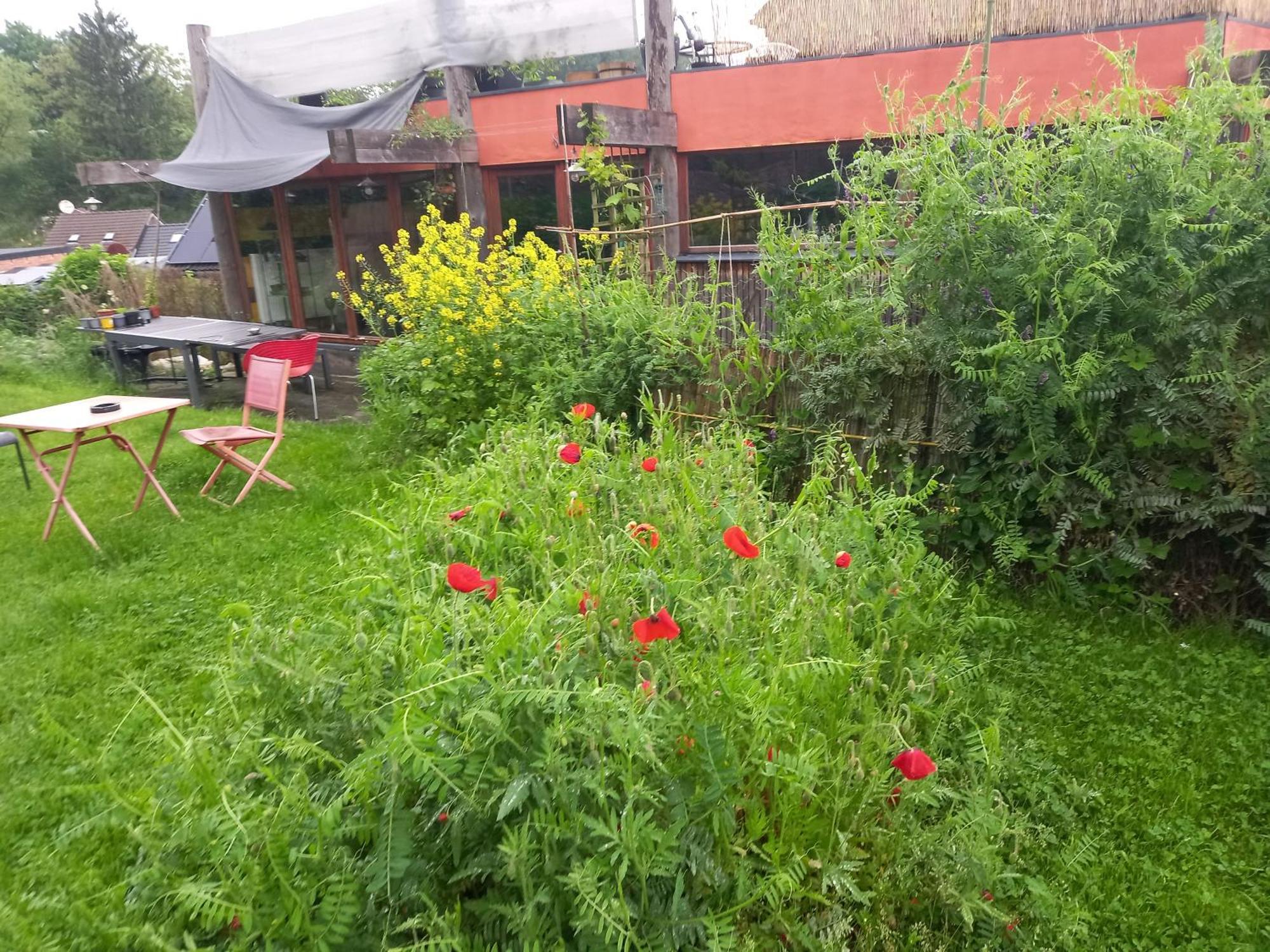 Gee Is Sharing Her Home Liège Exterior foto